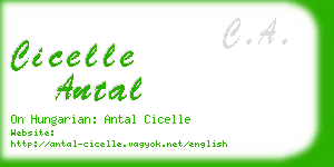 cicelle antal business card